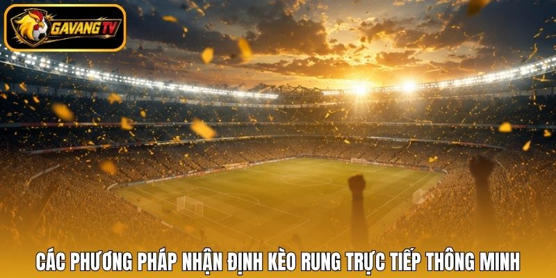 Các phương pháp nhận định kèo rung trực tiếp thông minh
