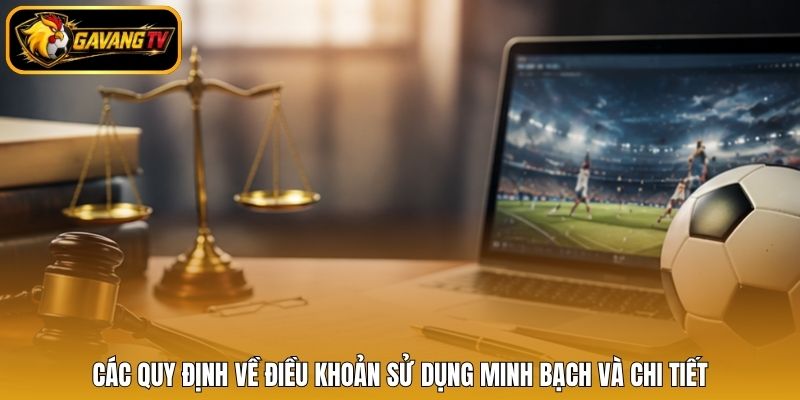 Các quy định về điều khoản sử dụng minh bạch và chi tiết