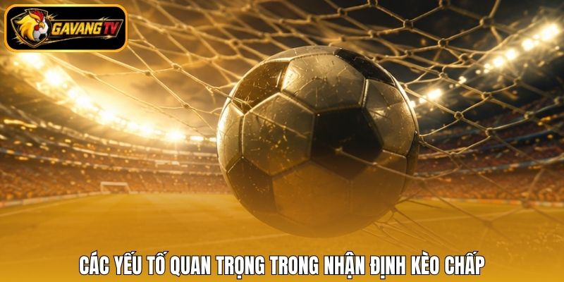 Các yếu tố quan trọng trong nhận định kèo chấp