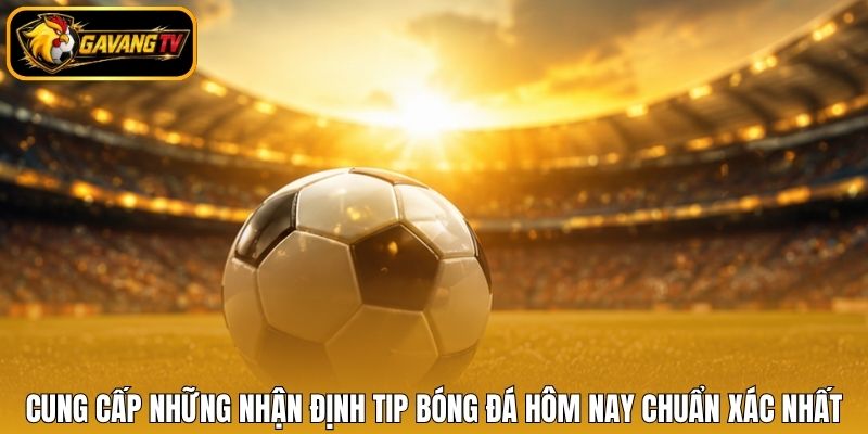 Cung cấp những nhận định tip bóng đá hôm nay chuẩn xác nhất