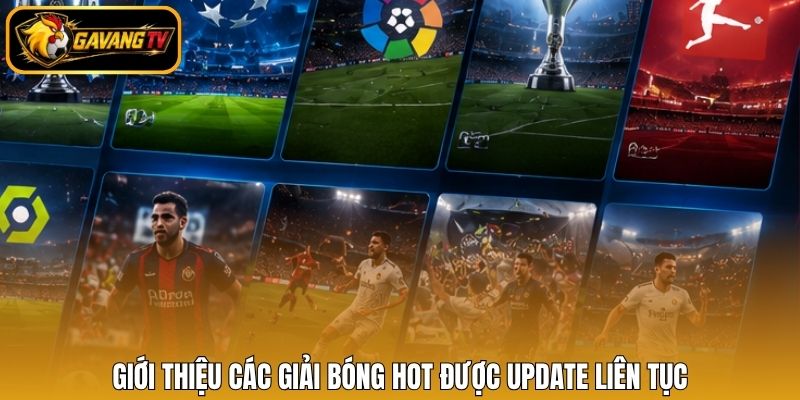 Giới thiệu các giải bóng hot được update liên tục