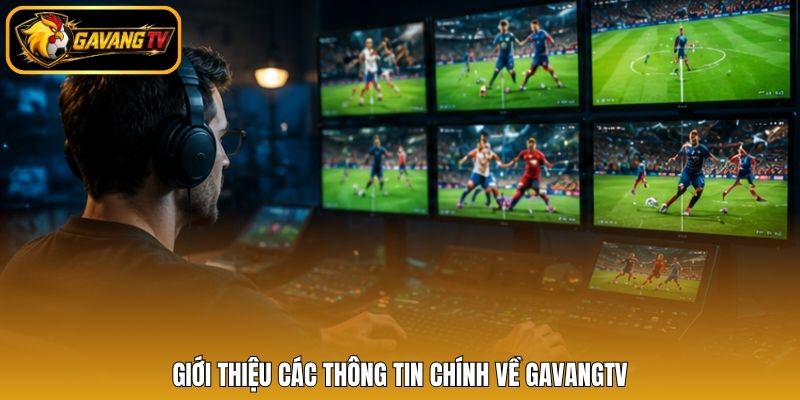 Giới thiệu các thông tin chính về gavangtv