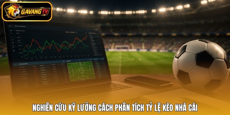 Nghiên cứu kỹ lưỡng cách phân tích tỷ lệ kèo nhà cái