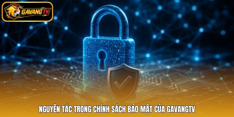 Nguyên tắc trong chính sách bảo mật của gavangtv