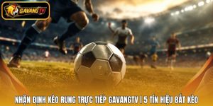 Nhận Định Kèo Rung Trực Tiếp Gavangtv | 5 Tín Hiệu Bắt Kèo