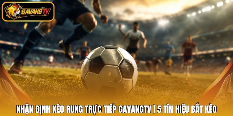 Nhận Định Kèo Rung Trực Tiếp Gavangtv | 5 Tín Hiệu Bắt Kèo