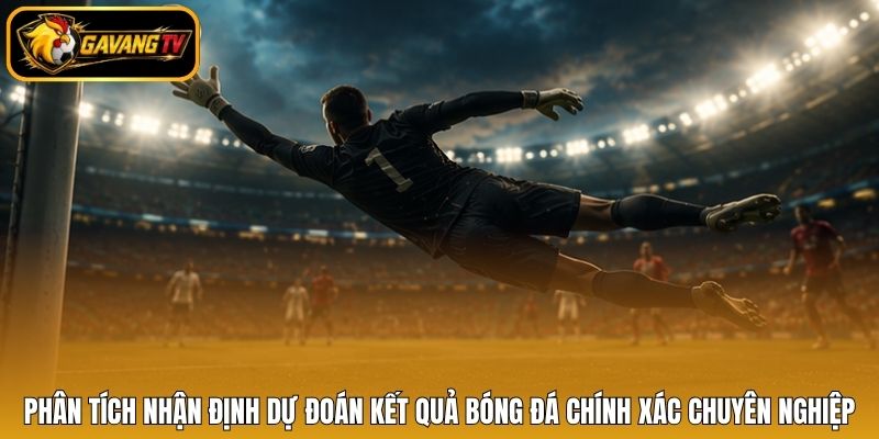 Phân tích nhận định dự đoán kết quả bóng đá chính xác chuyên nghiệp