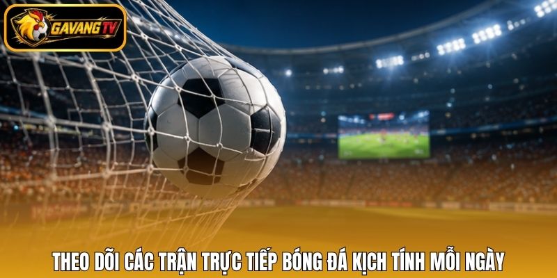 Theo dõi các trận trực tiếp bóng đá kịch tính mỗi ngày
