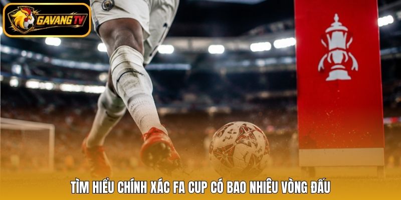 Tìm hiểu chính xác FA Cup có bao nhiêu vòng đấu