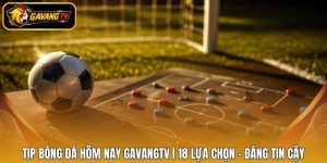 Tip Bóng Đá Hôm Nay Gavangtv | 18 Lựa Chọn - Đáng Tin Cậy